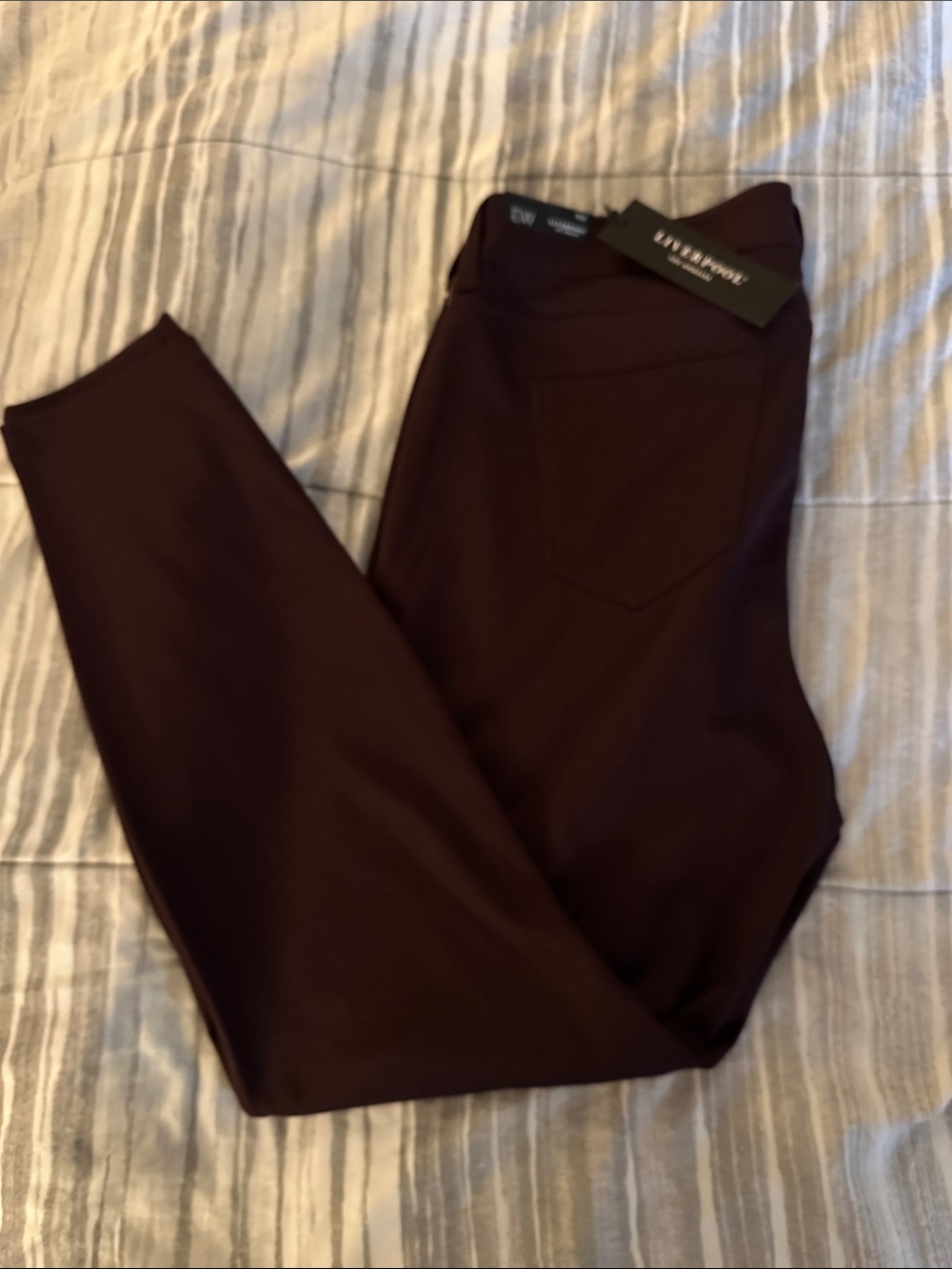Liverpool Women's Stretch Jeggings in Deep Plum
